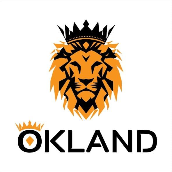 شاشة BMW X3 F25 CIC اندرويد 8+64