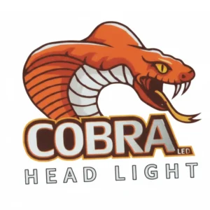 لمبات ليد سيارة GPNE D2H - أقوى إضاءة 6000K للعدسات